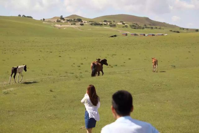 乾港集團高層草原自駕游 乾港集團高層草原自駕游