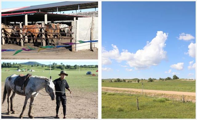 乾港集團高層草原自駕游 乾港集團高層草原自駕游