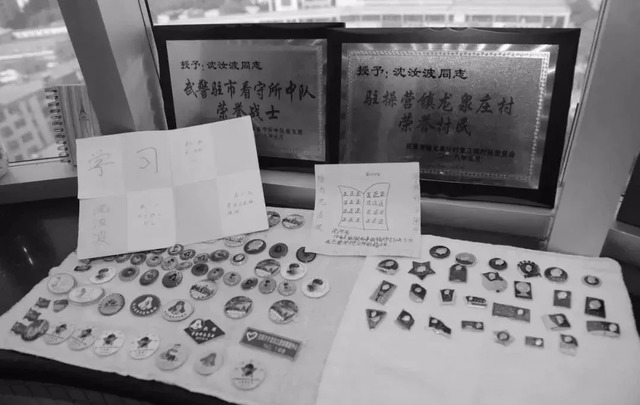 燕趙楷模沈汝波 燕趙楷模沈汝波